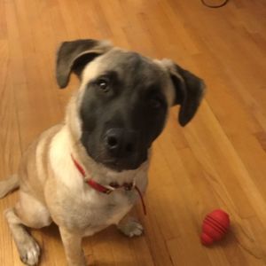 Meet your Posher, Cheryl